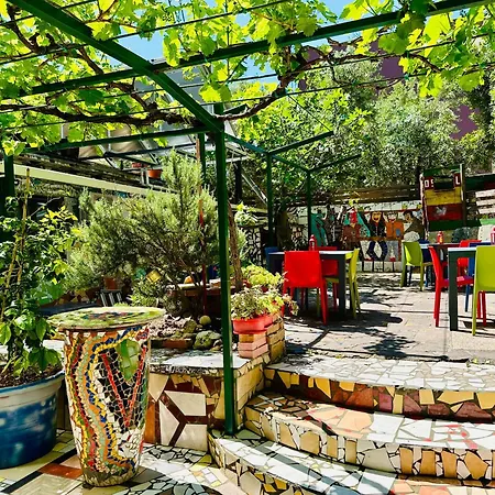 بيت شباب Art & Joy بولا