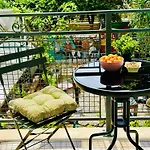 Art&joy Hostel